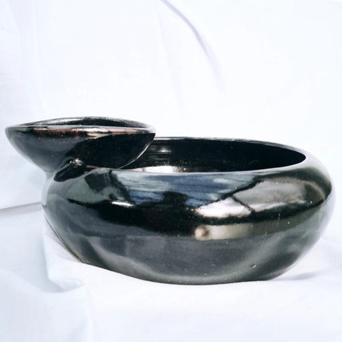 Large Bowl with integrated condiment bowl